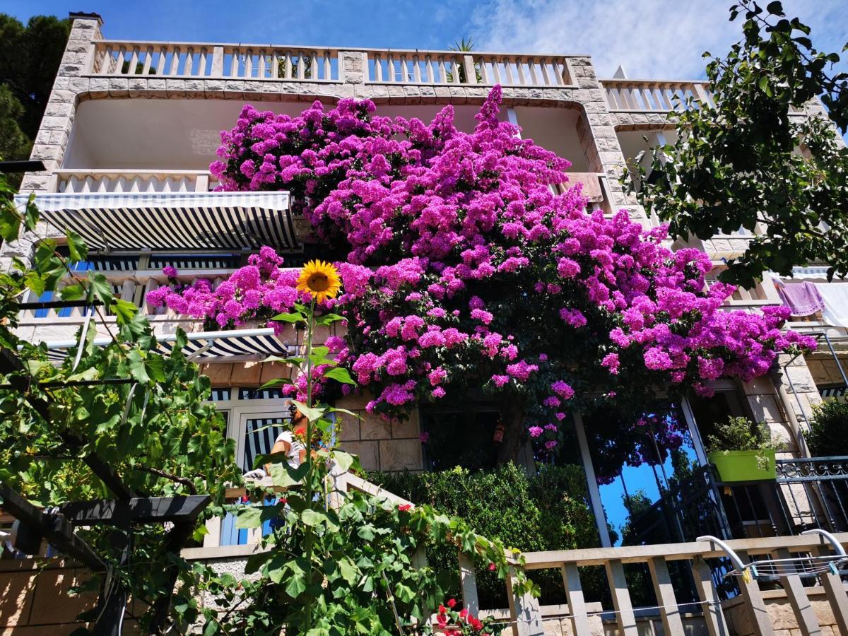 Villa Bose- Apartmani Luka Sodan Brela Bagian luar foto