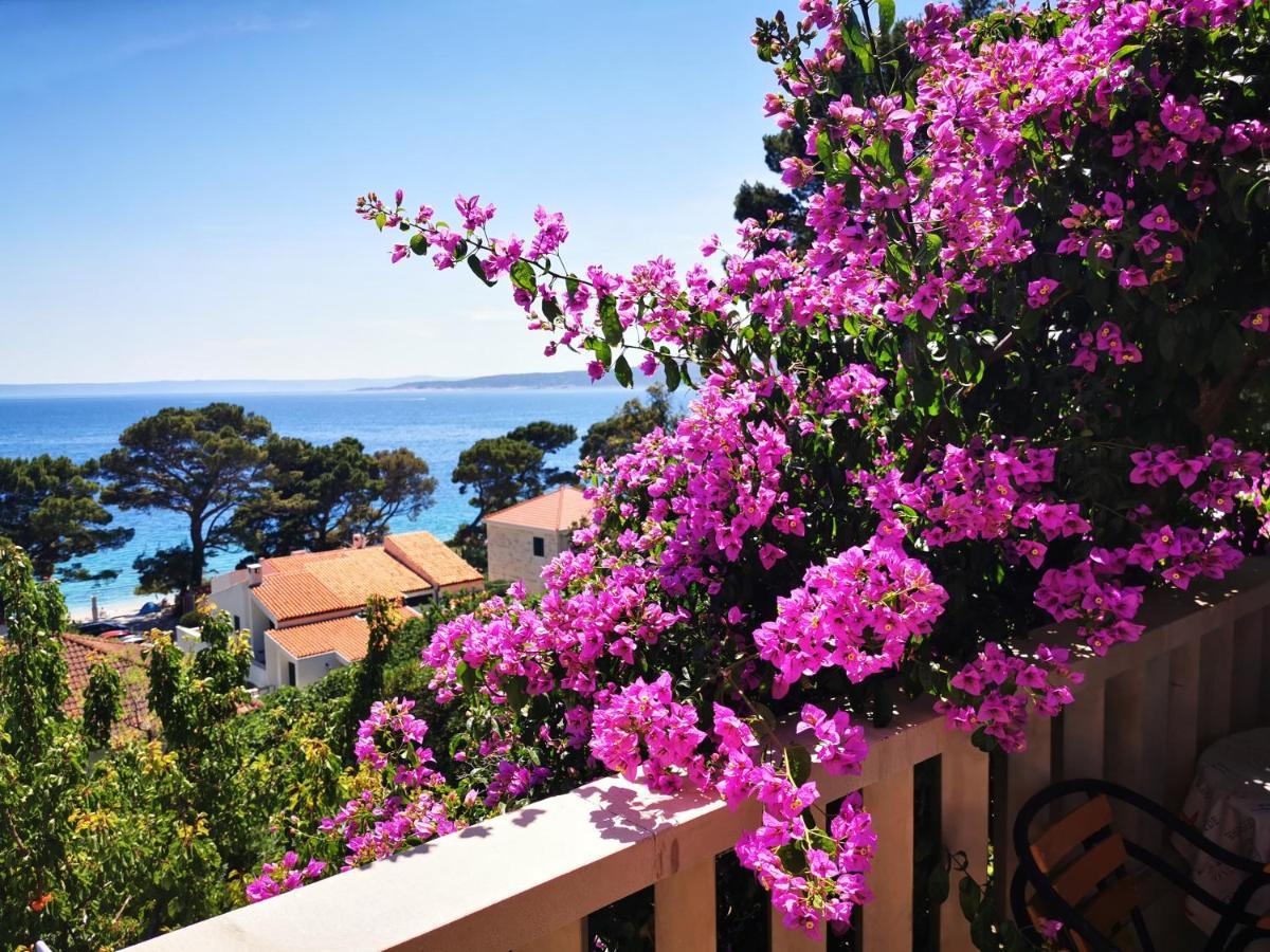 Villa Bose- Apartmani Luka Sodan Brela Bagian luar foto