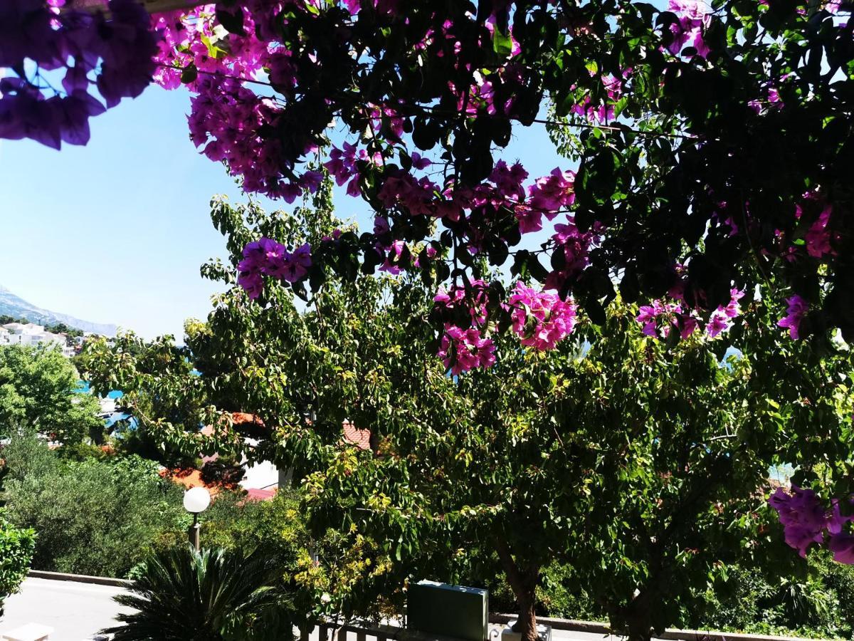 Villa Bose- Apartmani Luka Sodan Brela Bagian luar foto