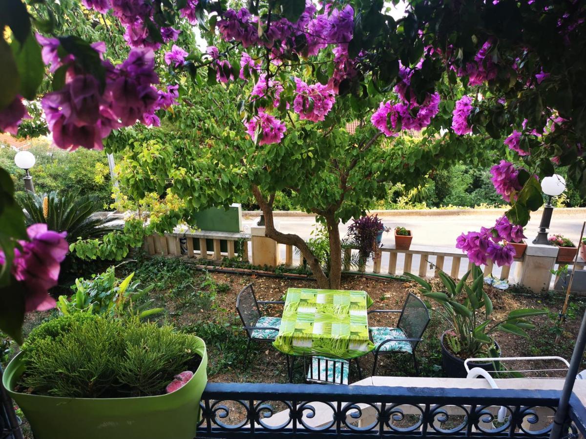 Villa Bose- Apartmani Luka Sodan Brela Bagian luar foto